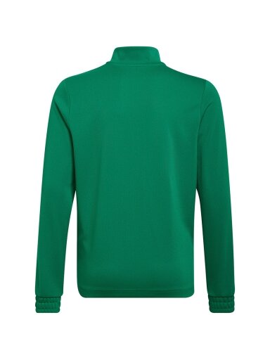 Adidas Entrada 22 Training Top vaikiški džemperiai, žalia HI2132