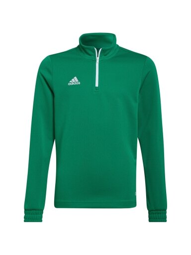Adidas Entrada 22 Training Top vaikiški džemperiai, žalia HI2132
