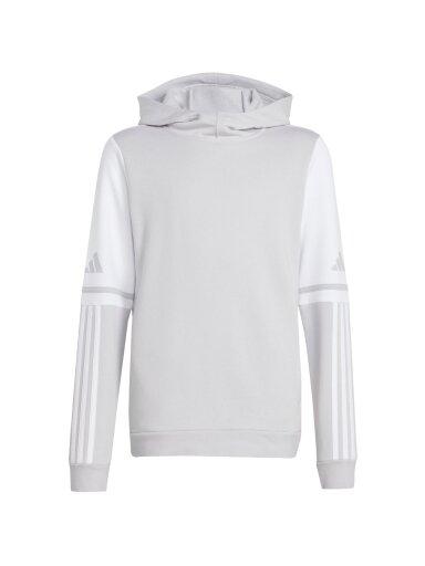 Adidas Squadra 25 Sweat Hoody vaikams pilka JD4808
