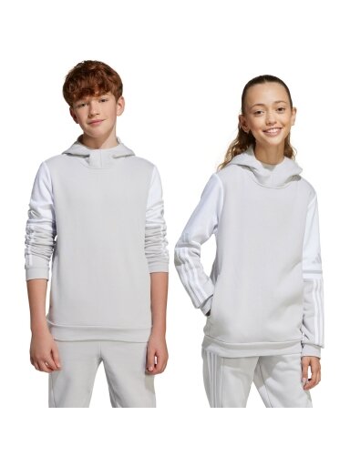 Adidas Squadra 25 Sweat Hoody vaikams pilka JD4808