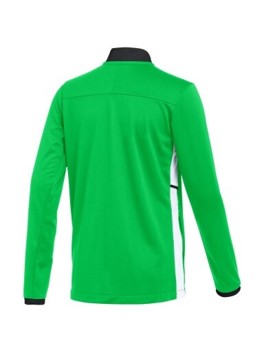 Nike Dri-Fit Academy 25 Track Jacket vaikams žalia FZ9836 329