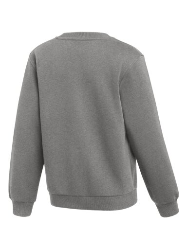 Nike Park 26 Fleece Crew vaikiški džemperiai, pilki IB1188 063