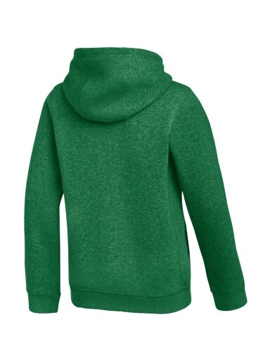Nike Park 26 Fleece Hoodie vaikams žalia IB1226 302