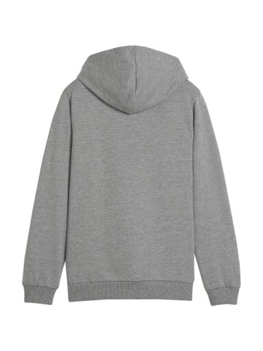 Puma Team Goal Casuals Hoddy vaikiškas džemperis pilkas 658619 33