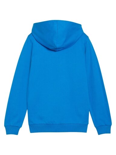 Puma teamGoal Casuals Hooded vaikams mėlyna 658596 02