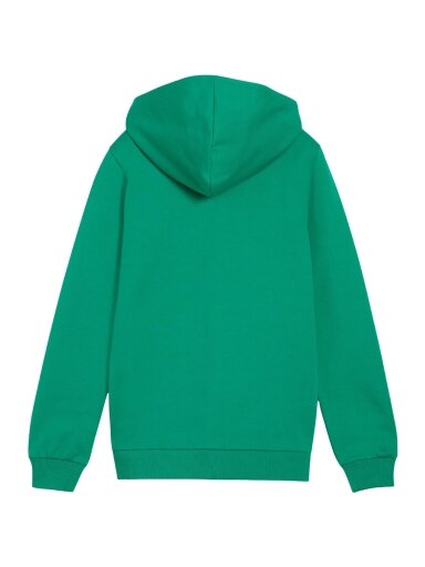 Puma teamGoal Casuals Hooded vaikams žalia 658596 05