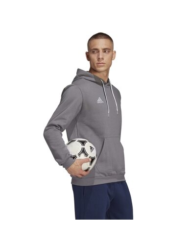 Adidas Entrada 22 Hoody vyriškas džemperis, pilkas HB0578