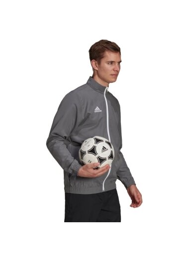 Adidas Entrada 22 Presentation Jacket vyriškas džemperis, pilkas H57535
