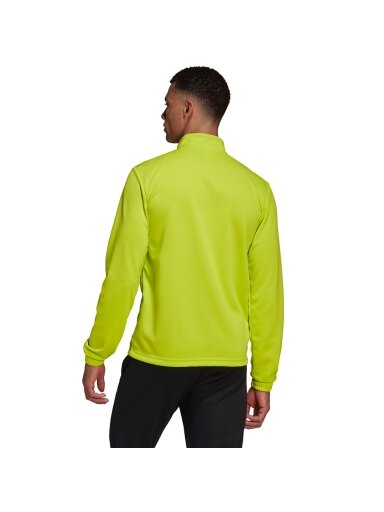 Vyriški džemperiai adidas Entrada 22 Training Top lime HC5057