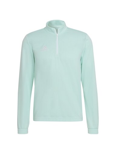 Vyriški džemperiai adidas Entrada 22 Training Top mint HC5050