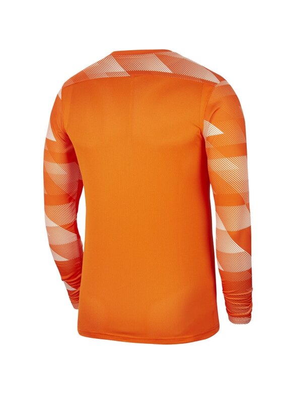 Nike Dry Park IV JSY LS GK vyriški vartininko džemperiai oranžiniai CJ6066 819