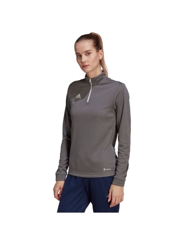 Moteriškas džemperis adidas Entrada 22 Top Training pilka H57542 2