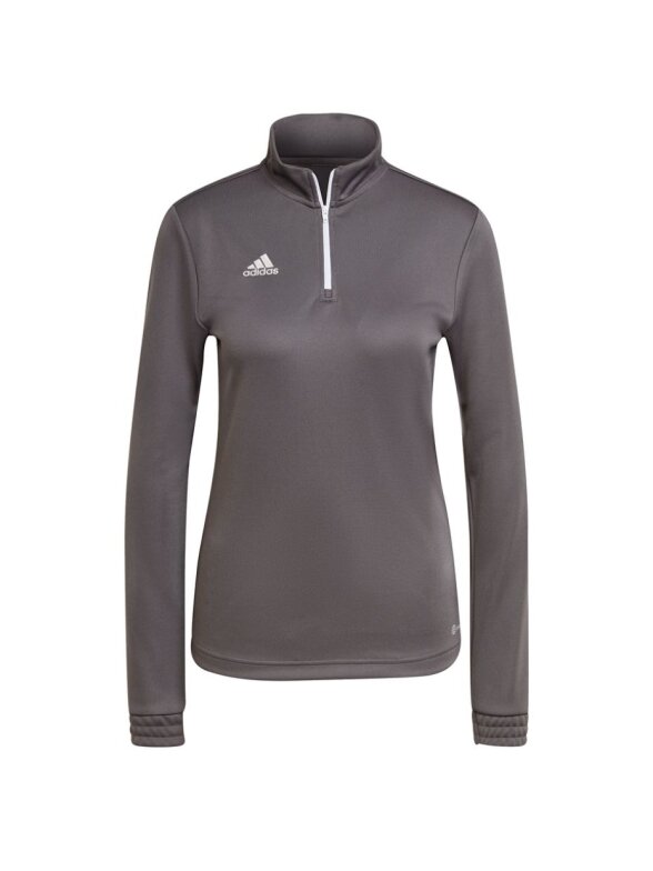 Moteriškas džemperis adidas Entrada 22 Top Training pilka H57542
