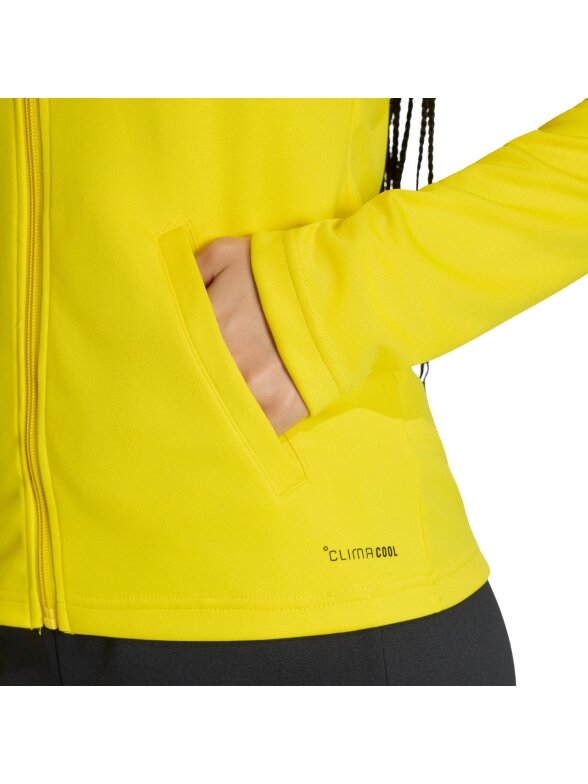 Adidas Entrada 26 Track džemperis moterims geltonas JZ6595 4