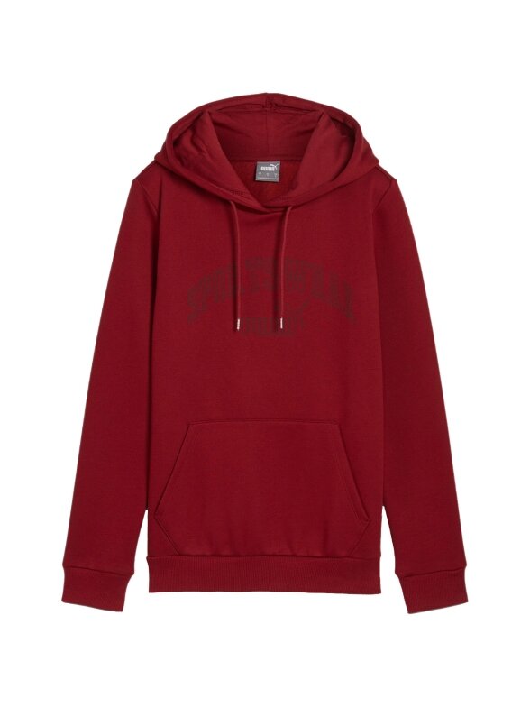 Puma Ess+ Logo LAB Hoodie FL moteriškas džemperis bordo spalvos 682987 13