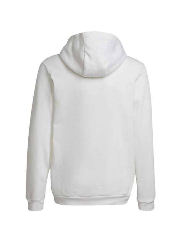Adidas Entrada 22 Hoody vaikiškas džemperis, baltas HG6303 1