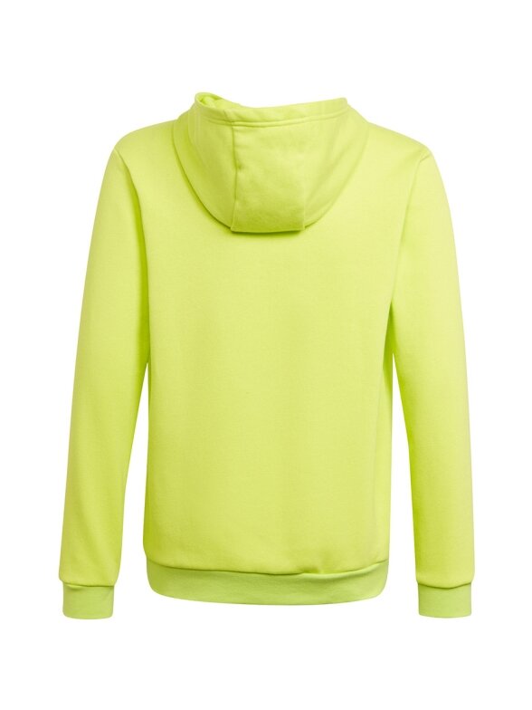Adidas Entrada 22 Hoody vaikiški džemperiai, lime HC5069 1