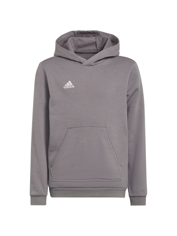Adidas Entrada 22 Hoody vaikiški džemperiai, pilki H57515