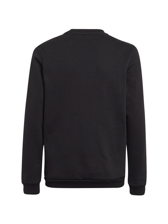 Adidas Entrada 22 Sweat Top vaikams, juoda H57474 1