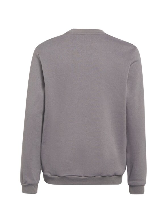 Adidas Entrada 22 Sweat Top vaikiški džemperiai, pilki H57477 1 Adidas Entrada 22 Sweat Top vaikiški džemperiai, pilki H57477 1