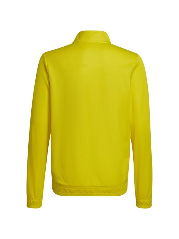 Adidas Entrada 22 Track Jacket vaikiškas striukė, geltonas HI2139 1