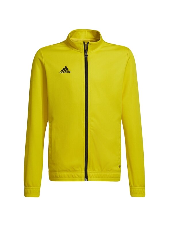 Adidas Entrada 22 Track Jacket vaikiškas striukė, geltonas HI2139
