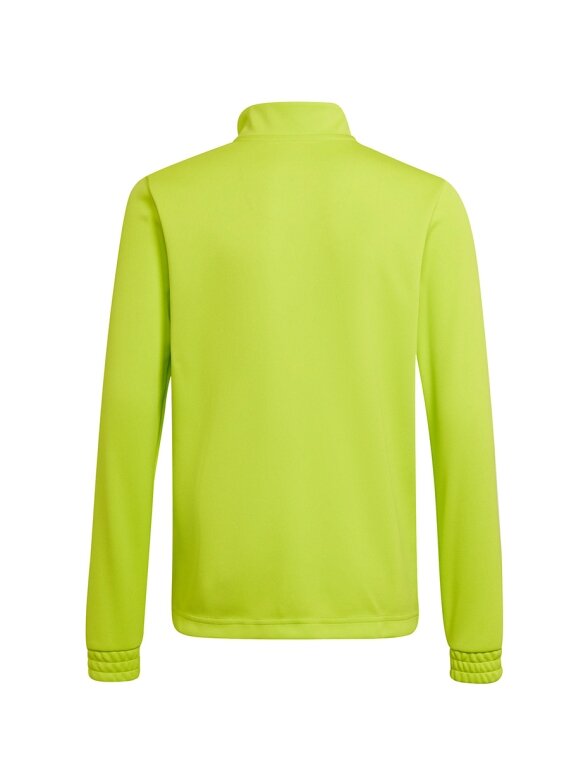 Adidas Entrada 22 Training Top vaikiški džemperiai, lime HC5060 1