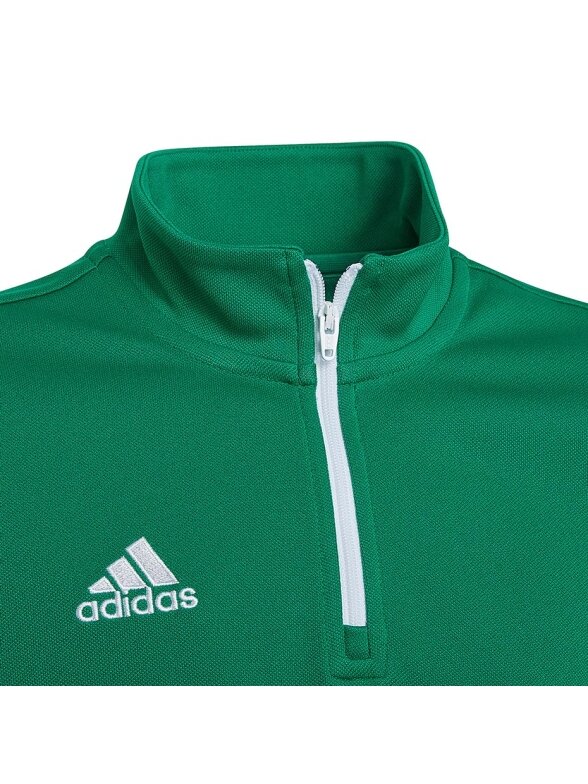 Adidas Entrada 22 Training Top vaikiški džemperiai, žalia HI2132 2