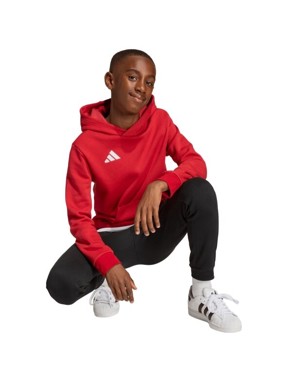 Adidas Entrada 26 Hoody vaikams raudona JZ6568 7