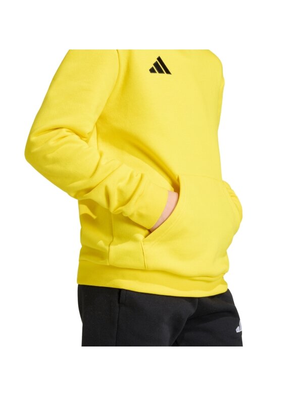 Adidas vaikų džemperis su gobtuvu Entrada 26 Hoody geltonas JZ6564 6