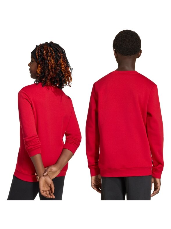 Adidas Entrada 26 Sweat Top džemperis vaikams raudonas JZ6556 2