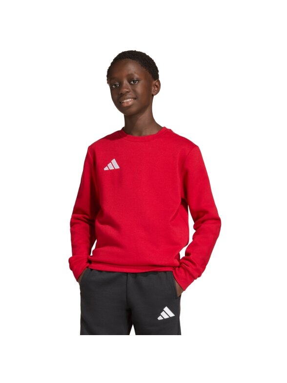 Adidas Entrada 26 Sweat Top džemperis vaikams raudonas JZ6556 3