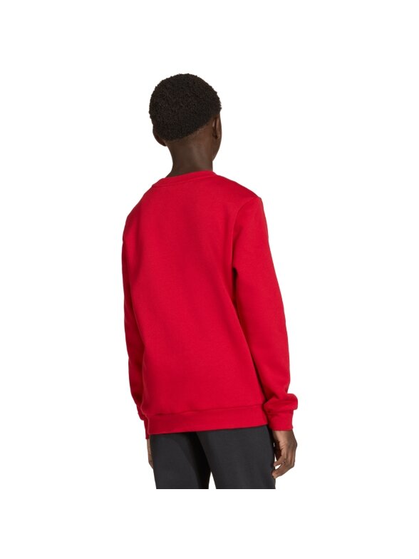 Adidas Entrada 26 Sweat Top džemperis vaikams raudonas JZ6556 4