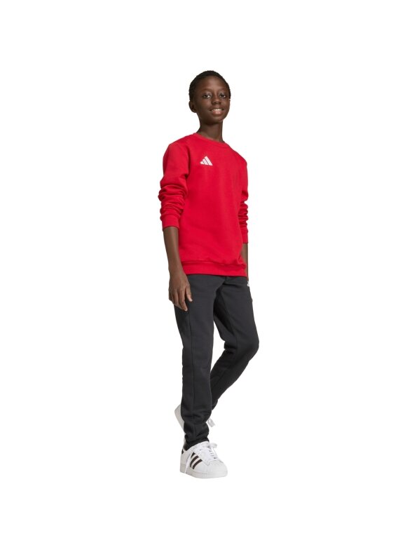 Adidas Entrada 26 Sweat Top džemperis vaikams raudonas JZ6556 6