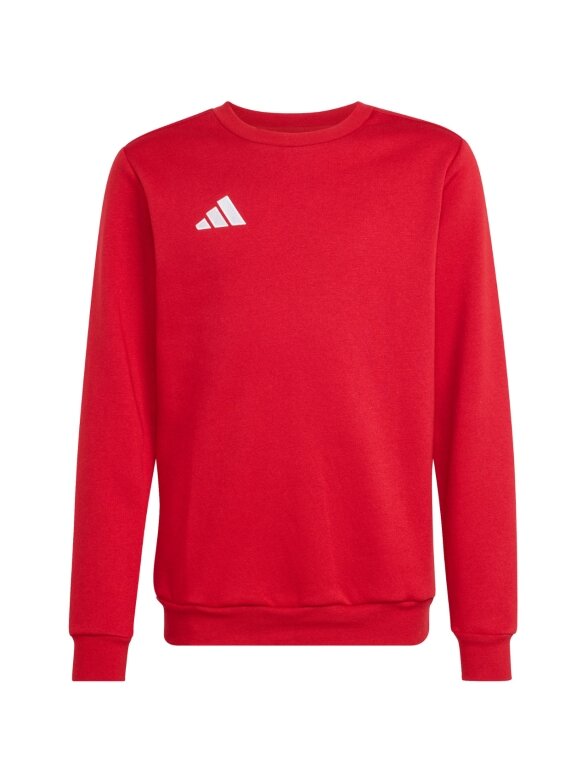 Adidas Entrada 26 Sweat Top džemperis vaikams raudonas JZ6556 1