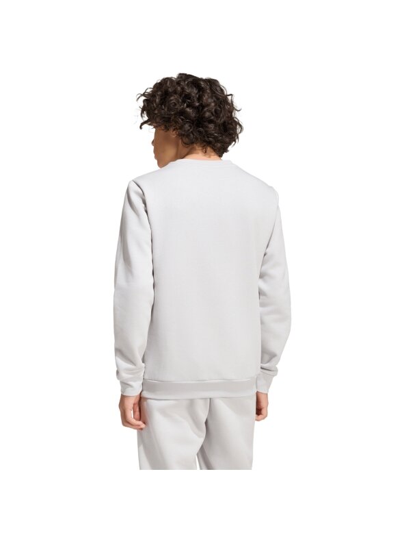 Adidas Entrada 26 Sweat Top vaikiškas džemperis pilkas JZ6551 4 Adidas Entrada 26 Sweat Top vaikiškas džemperis pilkas JZ6551 4