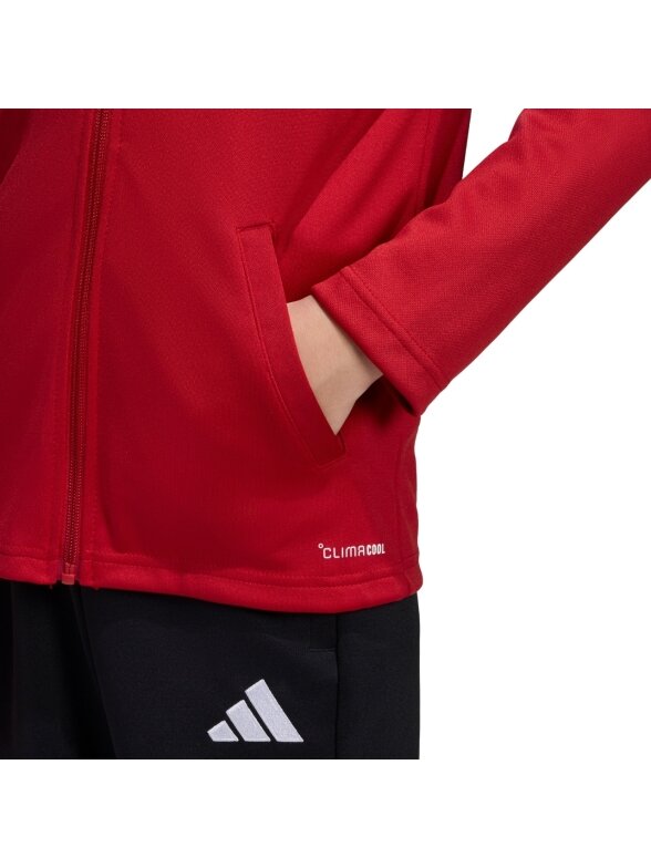Adidas Entrada 26 Track vaikams raudona JZ6612 6