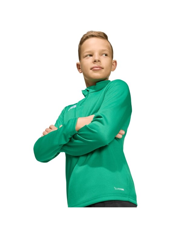 Adidas Entrada 26 Training Top vaikams žalia JZ6632 4