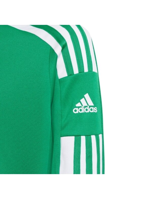 Adidas Squadra 21 Training Top Jaunimo džemperis vaikams, žalias GP6471 3