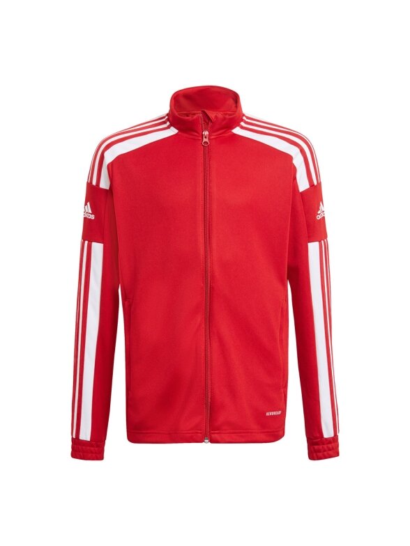Adidas Squadra 21 Training Youth vaikiškas džemperis raudonas GP6458 1