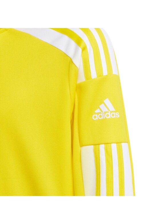 Adidas Squadra 21 Training Youth džemperis vaikams, geltonas GP6453 3