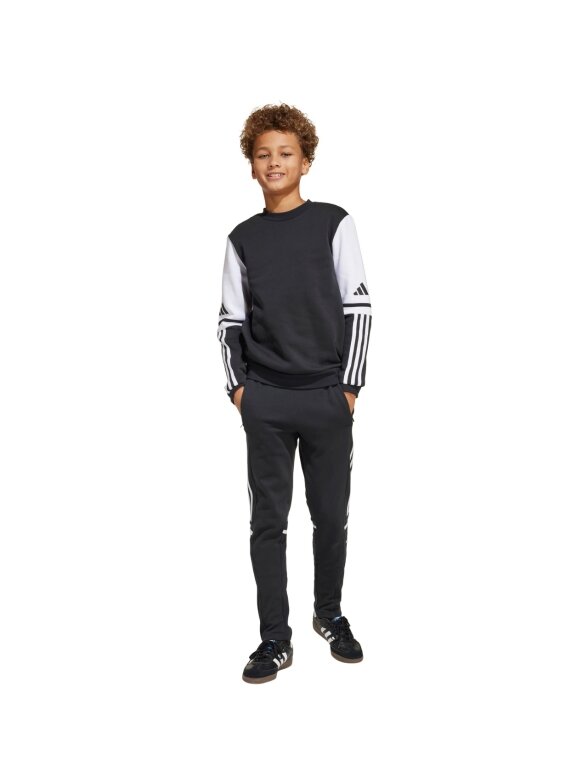 Adidas Squadra 25 Sweat Crew vaikams juoda JE2773 3