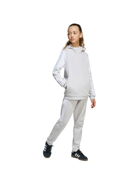 Adidas Squadra 25 Sweat Hoody vaikams pilka JD4808 3