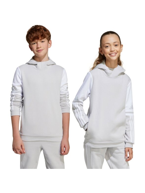 Adidas Squadra 25 Sweat Hoody vaikams pilka JD4808