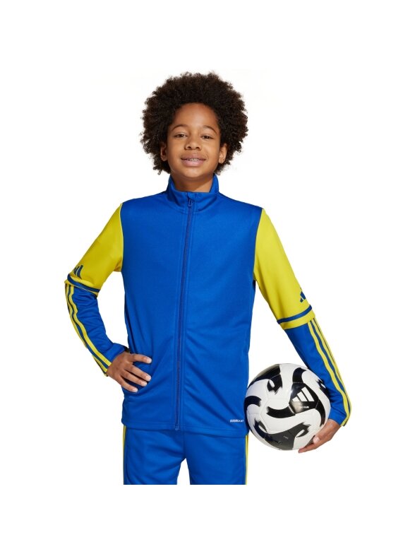Adidas Squadra 25 Training džemperis vaikams mėlyna JP3150 3