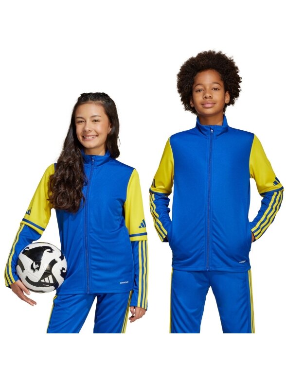 Adidas Squadra 25 Training džemperis vaikams mėlyna JP3150