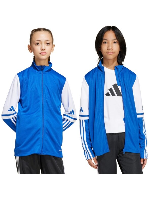 Adidas Squadra 25 Training vaikiška džemperis mėlyna-balta JD4798