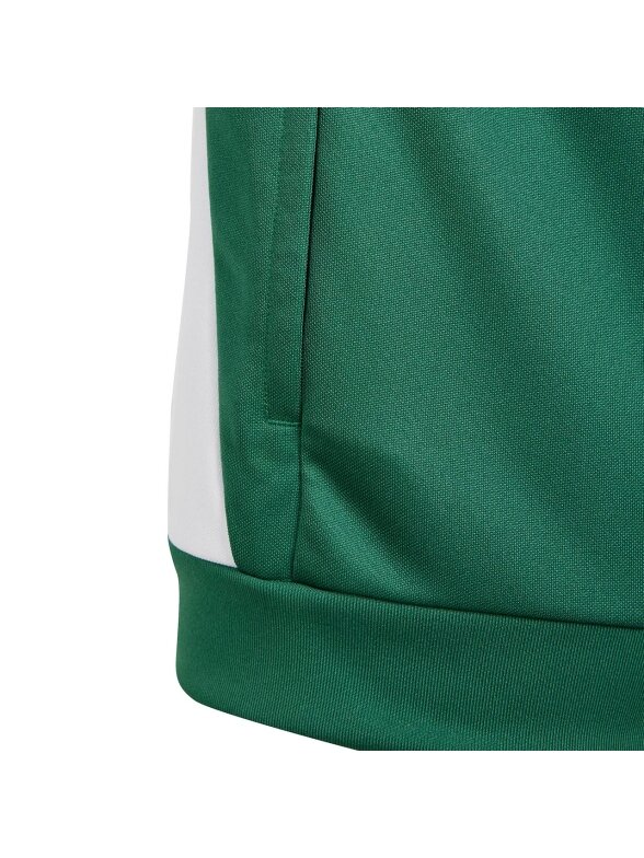 Adidas Tiro 24 Training vaikiškas džemperis žalias IR7503 4
