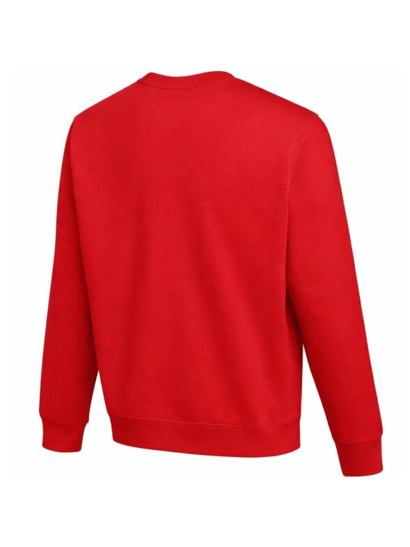 Nike Park 26 Fleece Crew vaikams raudona IO9045 657 1