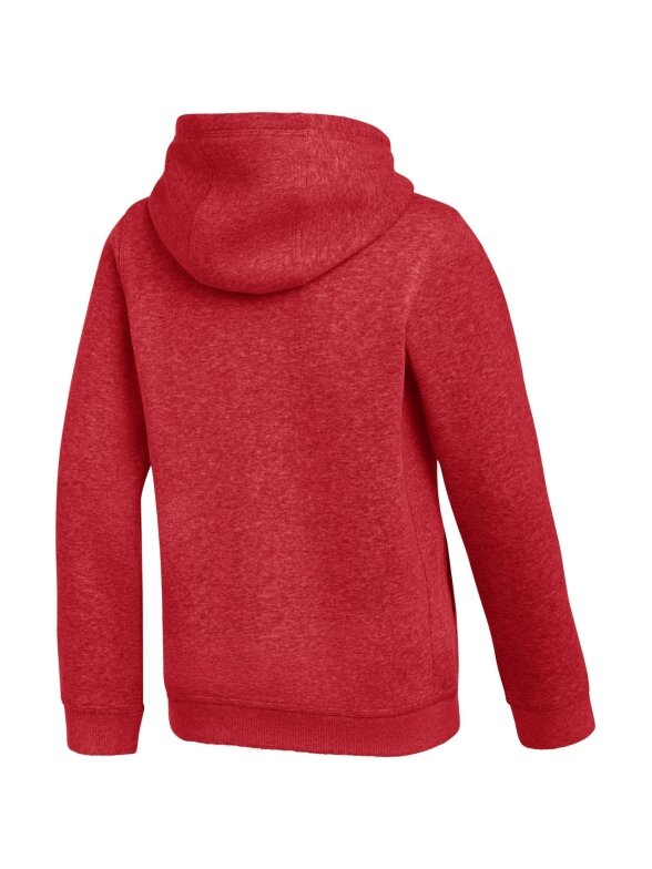 Nike Park 26 Fleece Hoodie vaikams raudona IB1226 657 1